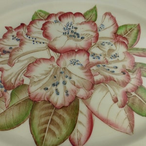 Johnson Brothers Pink Rhododendron Flower Vintage Large Oval Serving Plate Old Flower Prints 12 in English Floral China no 15542 image 3