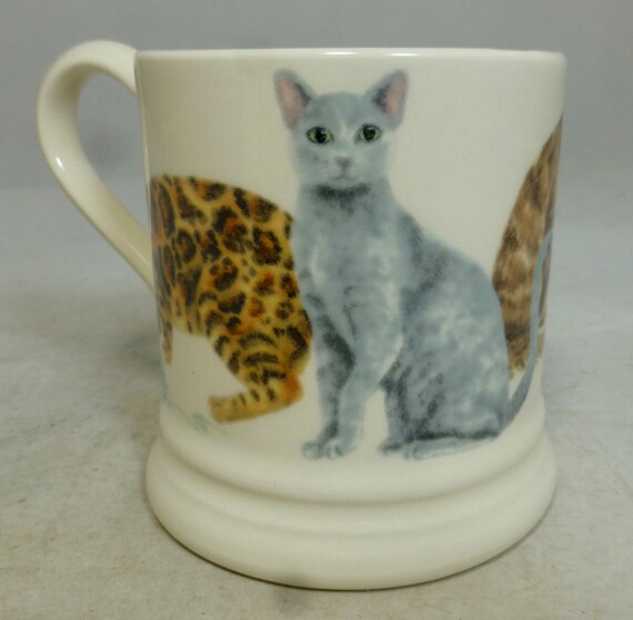 楽しいエマ・ブリッジウォーターのカラフルな猫の品種ウールボール