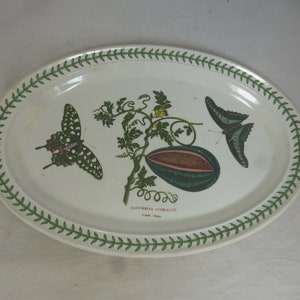 Rare Early Portmeirion Large Oval Serving Plate with Water Melon Cucurbita Citrullus & 2 Butterflies – Copyright Design Stamp - 13 x 9 inch