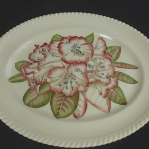 Johnson Brothers Pink Rhododendron Flower Vintage Large Oval Serving Plate Old Flower Prints 12 in English Floral China no 15542 image 5