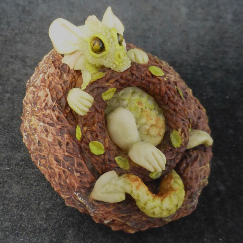 Spring Wizard Enchartica Holland Studio Craft - Etsy