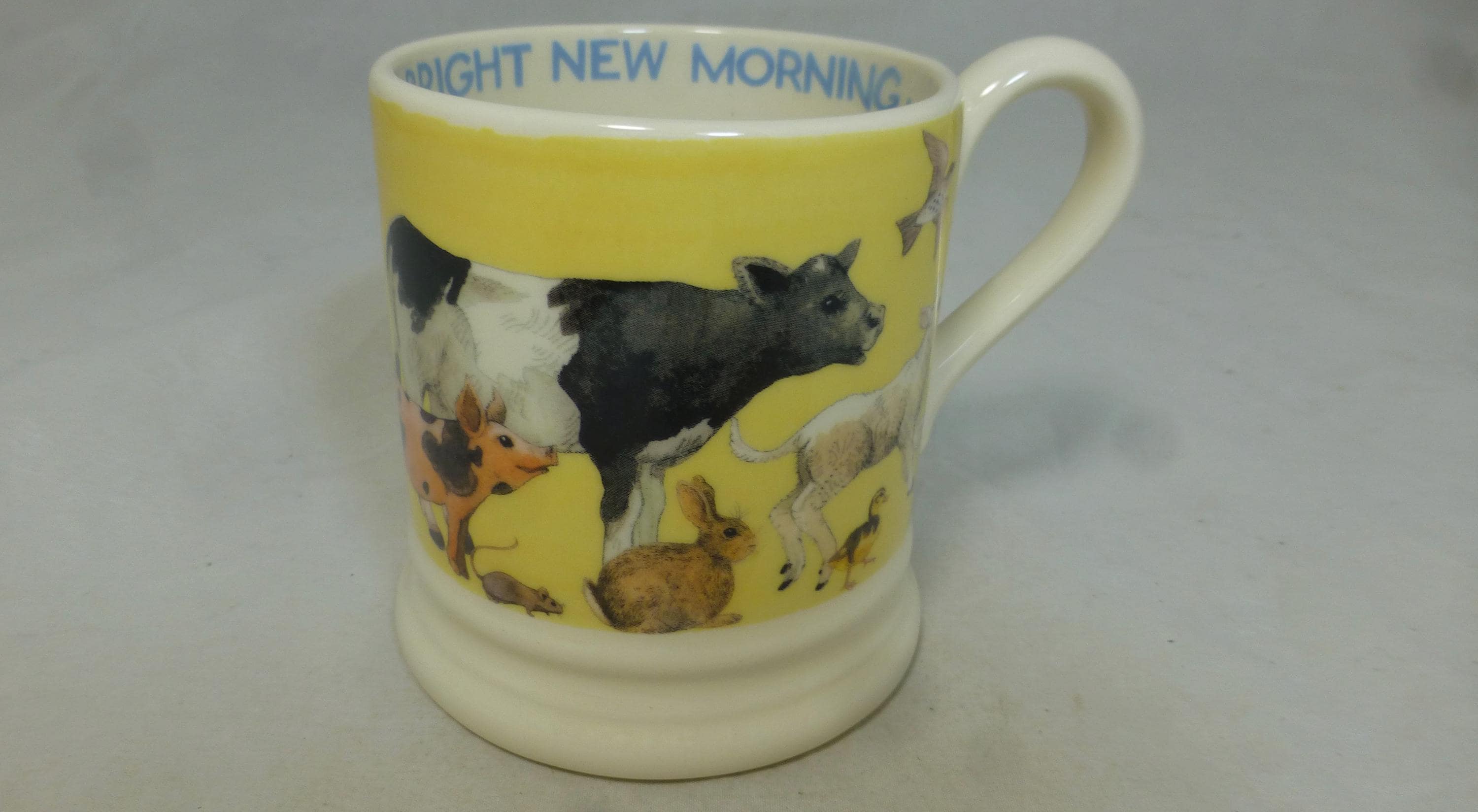 Emma Bridgewater Spongeware Bright New Morning Half Pint Mug