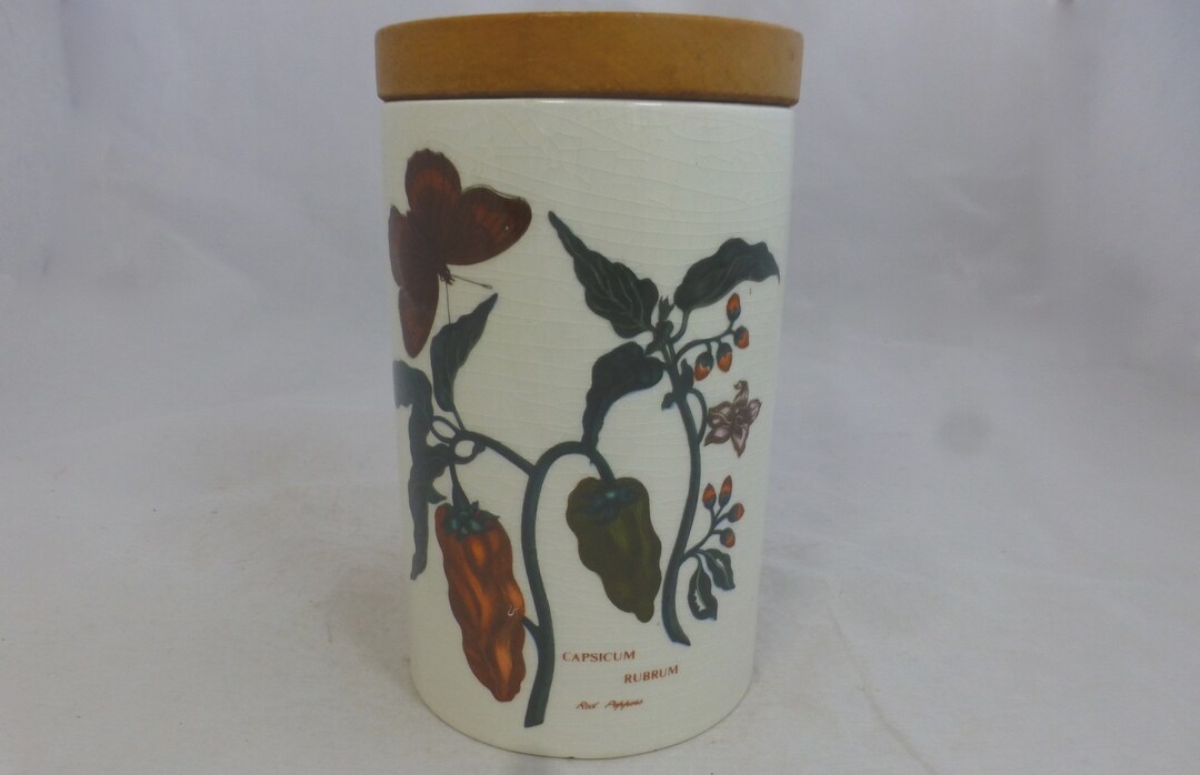 Early Portmeirion Large Botanic Garden Canister / Storage Jar & Wood ...