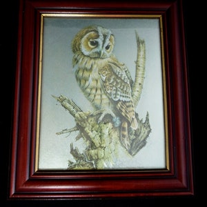 Framed Vintage Metallic Foil Art Print of Barn Owl Bird by Aubrey North on Silver Birch Tree – 13x11 in - Wood and Gilt Frame Ready to Hang