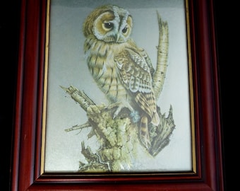 Lámina metálica vintage enmarcada de un pájaro lechuza común de Aubrey North sobre un árbol de abedul plateado. 13 x 11 pulgadas. Marco de madera y dorado listo para colgar.