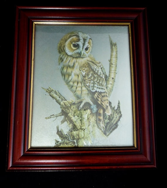 Framed Vintage Metallic Foil Art Print of Barn Owl Bird by Aubrey North on Silver Birch Tree – 13x11 in - Wood and Gilt Frame Ready to Hang