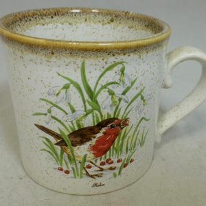 May include: A ceramic mug with a speckled off-white finish and a brown rim. The front features a colourful illustration of a robin bird standing among green grass, white snowdrop flowers, and small red berries, with the word Robin printed below.