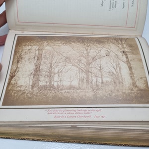 K&ouml;nnte beinhalten: Ein altes Buch mit einem sepiafarbenen Foto einer Waldszene. Die Bildunterschrift lautet "Now fades the glimmering landscape on the sight, And all the air a solemn stillness holds."  Elcy in a Country Churchyard. Page 127.