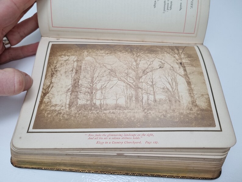 K&ouml;nnte beinhalten: Ein altes Buch mit einem sepiafarbenen Foto einer Waldszene. Die Bildunterschrift lautet "Now fades the glimmering landscape on the sight, And all the air a solemn stillness holds."  Elcy in a Country Churchyard. Page 127.