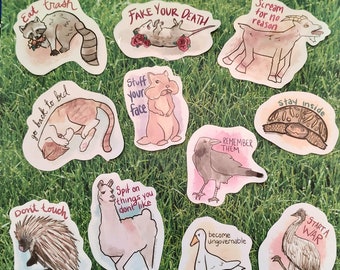 Aspirational Animal Stickers (Waterproof)