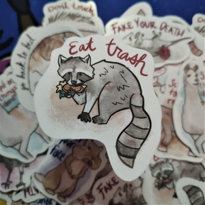 Aspirational Animal Stickers Waterproof Raccoon