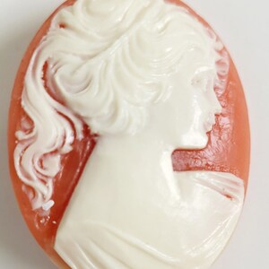 Celluloid Cameo Brooch; Antique Brooch Celluloid Cameo
