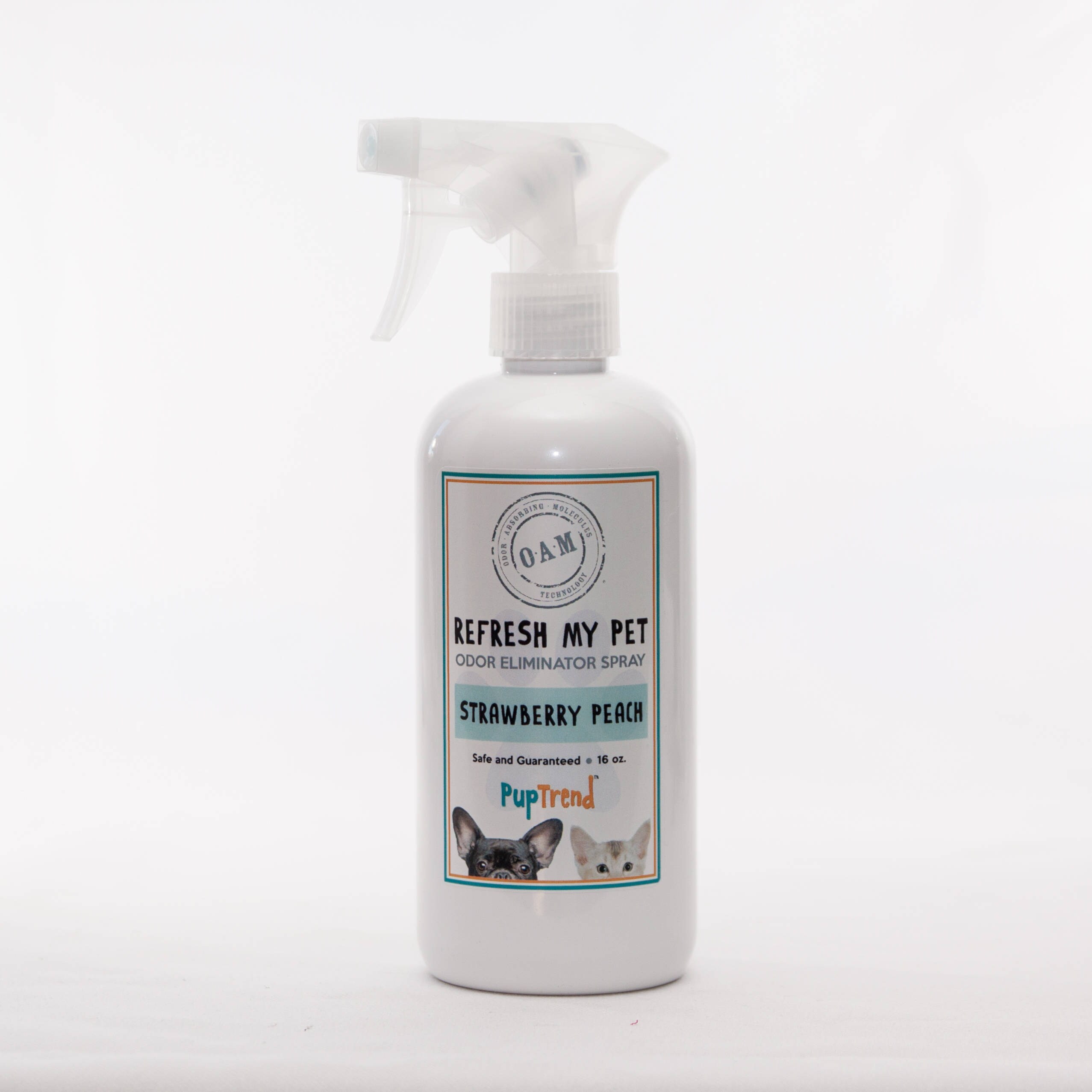 Odor Eliminator Spray//Pet Odor Eliminator//Urine Odor Etsy