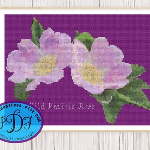 Wild Prairie Rose - Realistische aquarel bloemenbloem - Getelde Cross Stitch PDF-grafiek Instant Download - North Dakota & Iowa State Flower