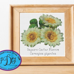 Saguaro Cactus Blossom - Carnegiea gigantea - Arizona State Flower - Mooi aquarelontwerp - Geteld kruissteek PDF-patroon downloaden