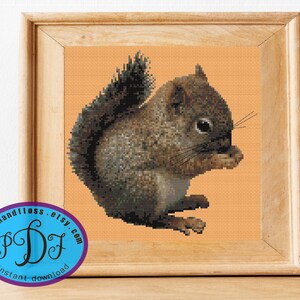 May include: Cross stitch pattern of a brown squirrel sitting on a peach background. The squirrel is looking to the right and has its front paws up to its mouth.