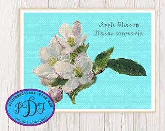 Apple Blossom - Malus coronaria - Arkanas State Flower - Fruit Tree - Pretty Floral Arbor Design - Counted Cross Stitch PDF Chart Download