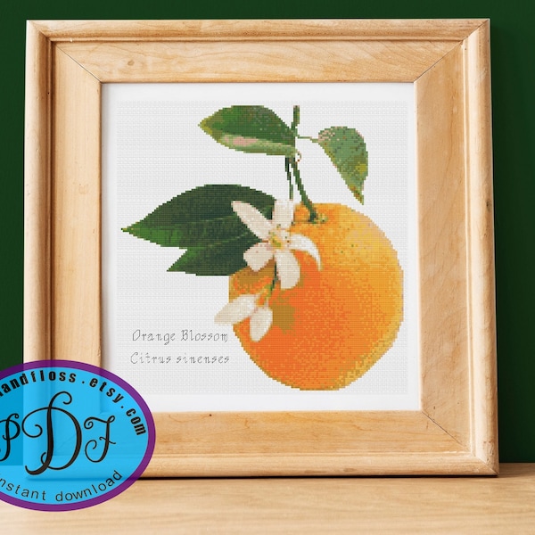 Orange & Blossom - Citrus sinensis - Florida State Flower - Realistic Watercolor Fruit + Flower - Counted Cross Stitch PDF Pattern Download