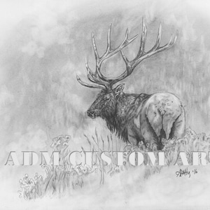 Lone Bull Hand-Numbered Charcoal Print