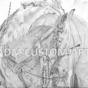 Bridle Horse Flex Numbered Pencil Print