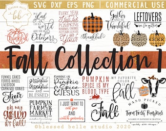 May include: A collection of 12 fall-themed SVG cut files featuring pumpkins, plaid, and text phrases like "I'm so glad I live in a world where there are Octobers", "Gather and be thankful", "Leftovers are for quitters", "Pumpkin spice is my blood type", "My favorite color is fall", and "Oh my gourd, it's fall!"