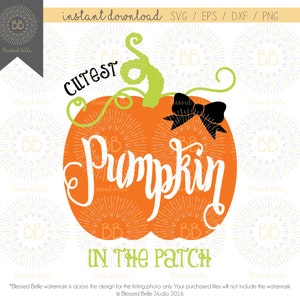 Cutest Pumpkin in the Patch svg, eps, dxf, png file, Silhouette, Cricut