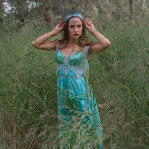 Adult Fairy Costume, Pre Made - Ready to Ship Water fairy costume dress, nymph costume, Princess fairy costume , Fantasy dress