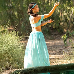 Princess jasmine costume -  France