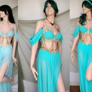 Princess Jasmine Costume Adult. Custom Jasmine Halloween Costume, princess jasmine cosplay