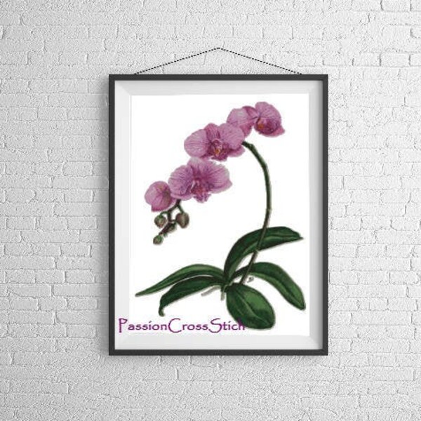 ORCHID PDF cross stitch Counted cross stitch chart PDF - instant download!