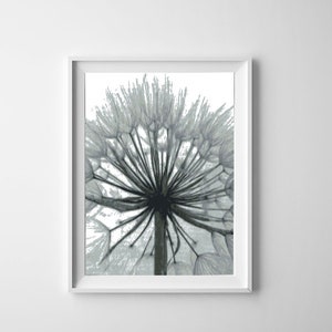 Dandelion 8 Cross stitch pattern. Cross stitch. Counted cross stitch. Cross stitch supply. PDF cross stitch chart.