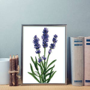 Lavender PDF cross stitch Counted cross stitch chart PDF - instant download!