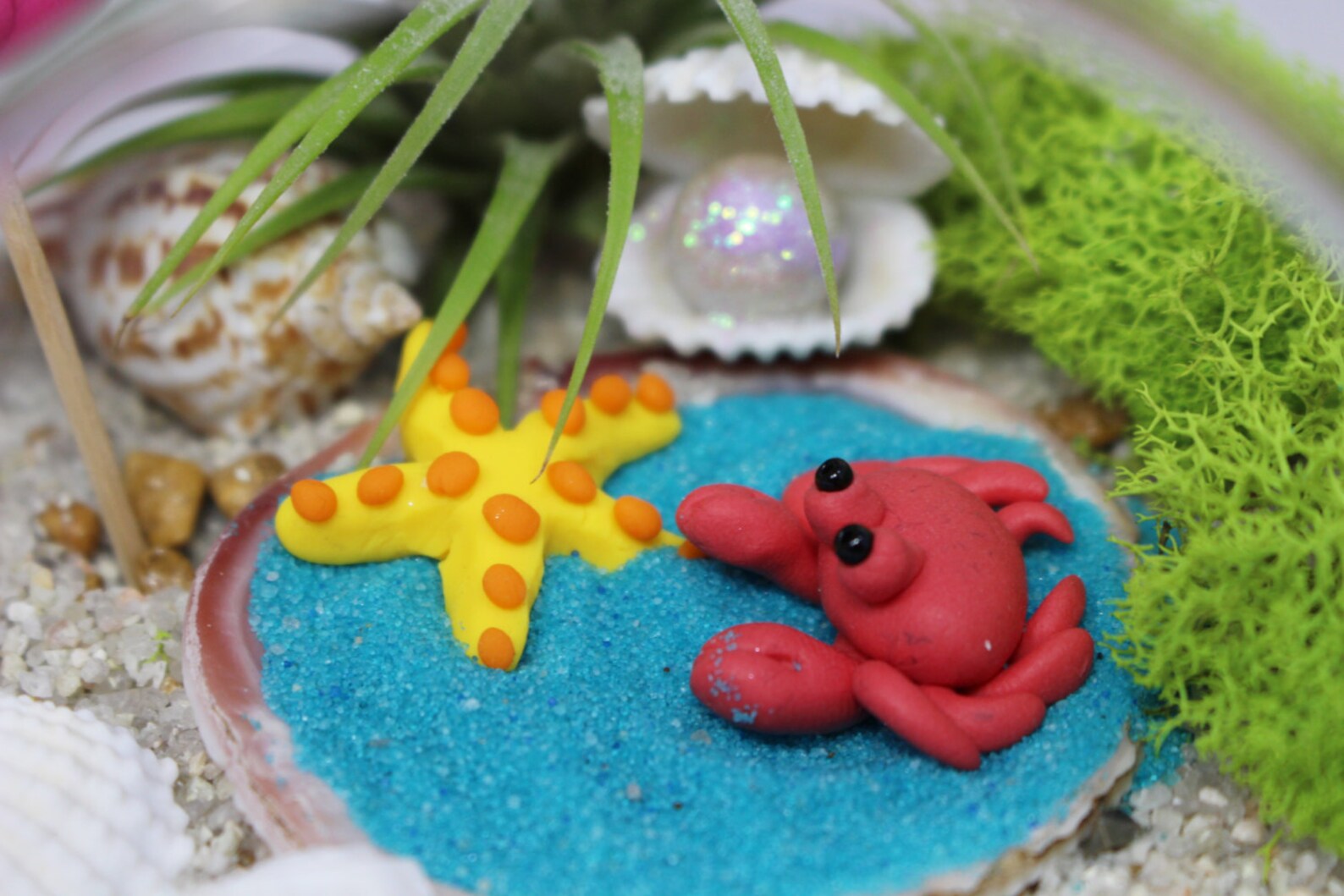 3 Miniature Terrarium Accessories Tiny Crab Starfish & Clam Etsy