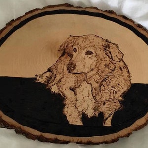 Pet Portraits on wood - Wood Burning pyrography unique art for dog, cats, animals