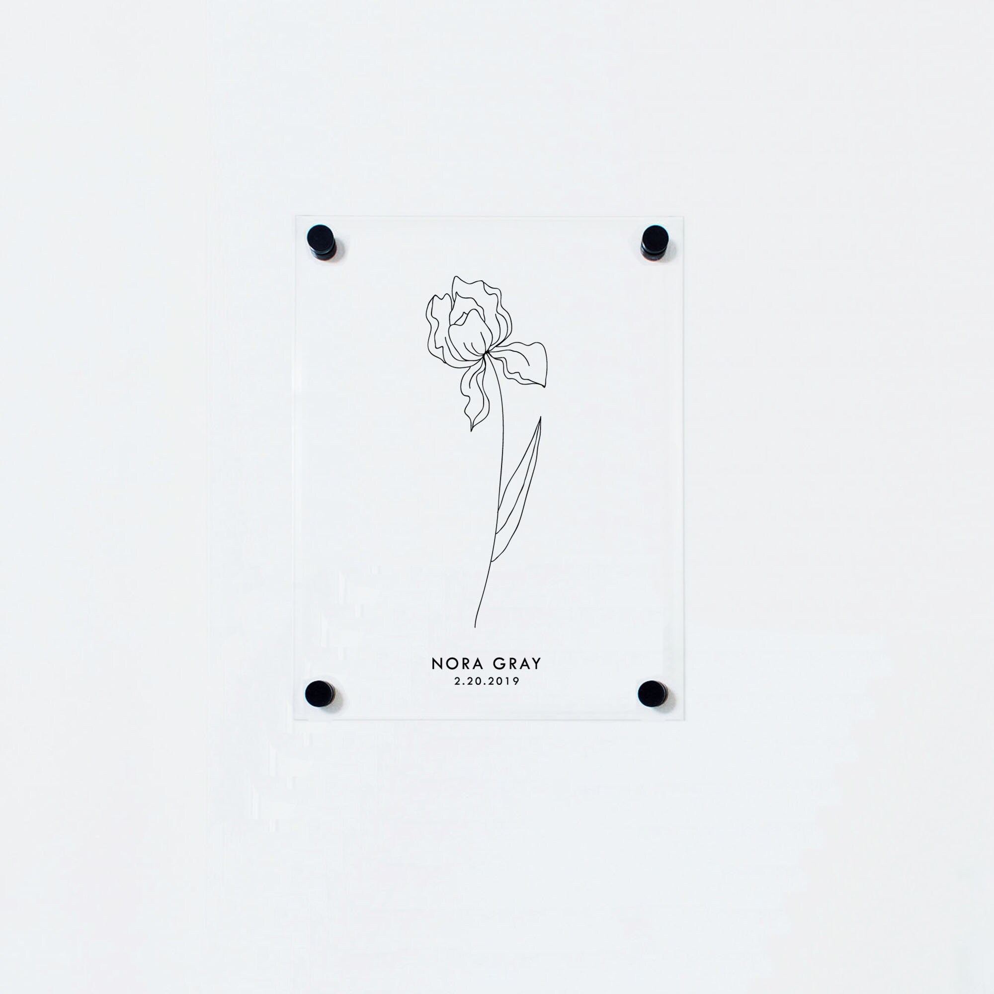 Fleur de Naissance Personnalisée Février sur Panneau Acrylique | Iris Flower Decor Art Statistiques 