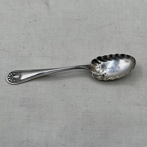 Pretty Shell Vintage Sterling Silver Sugar Spoon