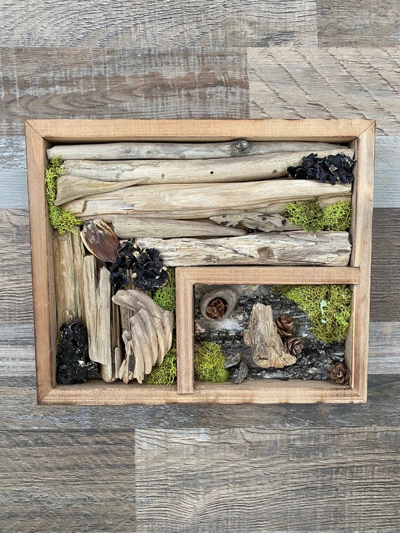 Forest Decor Nature Shadow Box Forest Shadow Box Nature Etsy