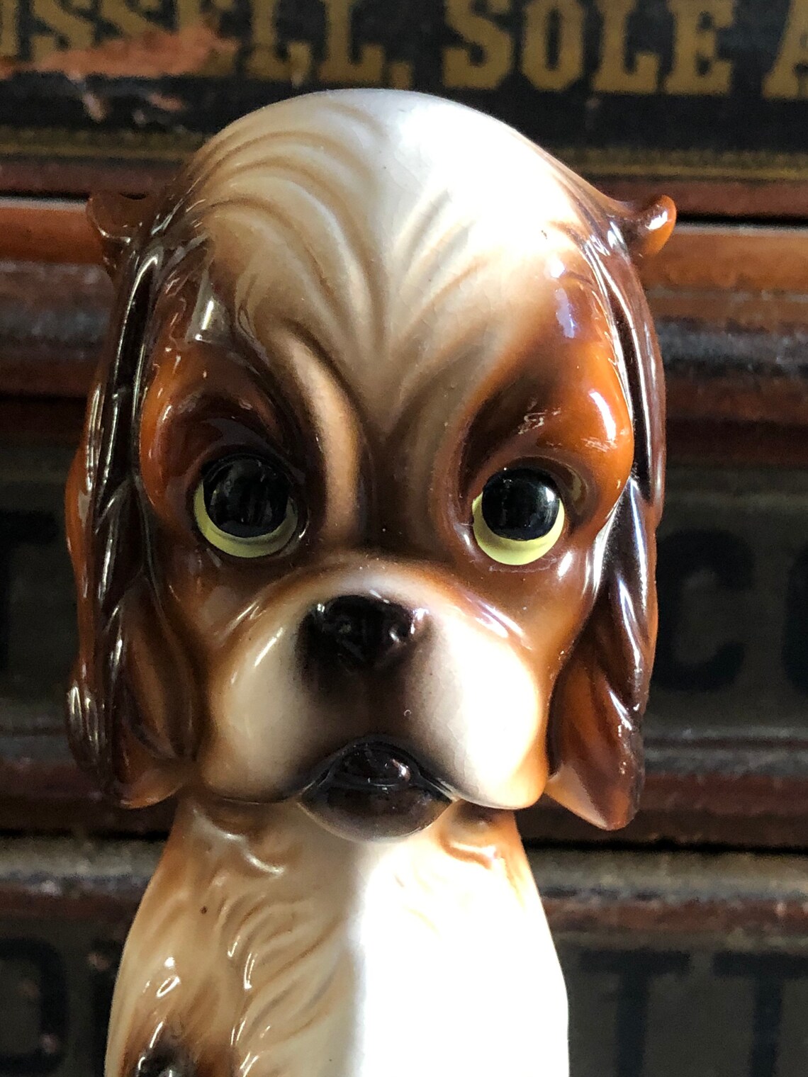 Porcelaine Dog