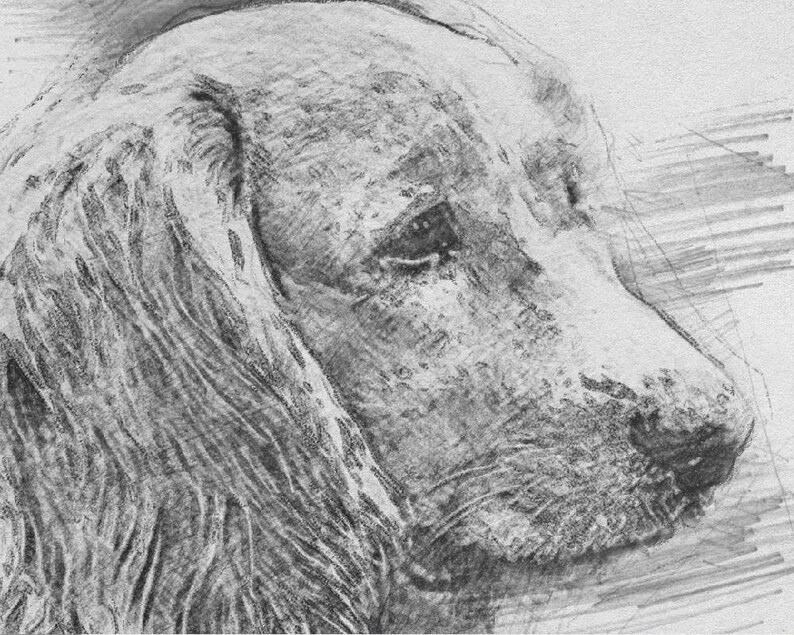 Gift for pet loss/_pet memorials/_pet memorial gift/_dog memorial/_cat memorial/_pet portrait custom/_pet loss gift/_dog loss gift/_dog photo memori
