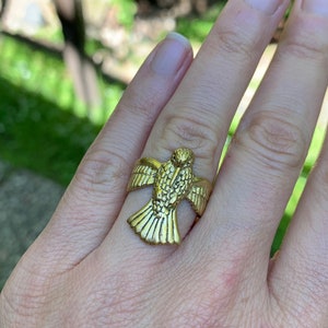 Hummingbird Medicine Ring