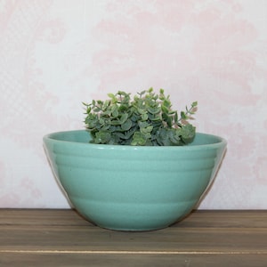 May include: A round, light teal ceramic bowl with three horizontal ridges encircling the exterior. The bowl has a smooth, matte finish and contains a small, bushy artificial plant with numerous tiny, rounded green leaves filling the interior.