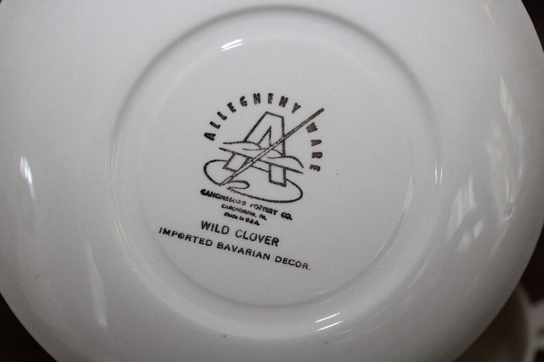Vintage Allegheny Ware Wild Clover Cup And Saucer Set Tea Cup