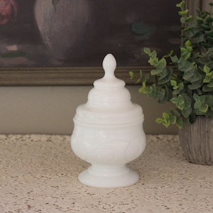 Puede incluir: Un tarro blanco con tapa, estilo pedestal, con un detallado diseño floral. El tarro tiene un cuerpo redondeado, una base acampanada y un remate decorativo en la tapa. El tarro se exhibe sobre una superficie similar al encaje, con una pintura y una planta en maceta en el fondo.