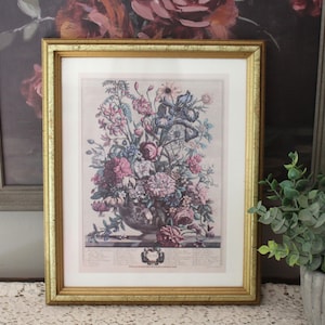Bombay Company Framed Art - Etsy