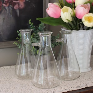 Puede incluir: Tres vasos de precipitados de vidrio transparente con forma cónica y un pequeño pico. Los vasos de precipitados están sobre una mesa con un camino de mesa de encaje blanco. Un jarrón blanco con tulipanes rosas y blancos en el fondo.