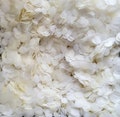 Biodegradable Wedding Confetti - White & Cream Confetti Circles, Bulk Confetti for 10-100 handfuls