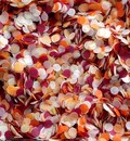 Biodegradable Confetti - Deep Autumnal Confetti Mix - Burgundy, Burnt Orange, Gold and Ivory