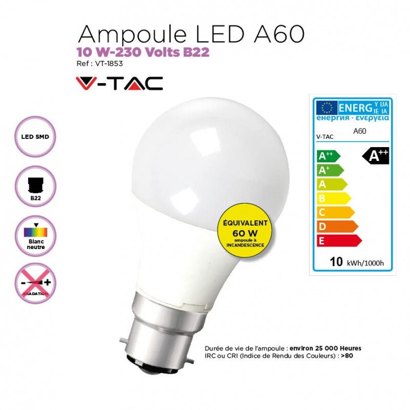 Ampoule Led 10W Standard A60/B22-220 Volts