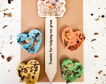Thanks for Helping Me Grow Seed Bomb Gift with Wooden Plant Marker, Teacher Gift, Teaching Assistant Gift, Wildflower Seeds, Thank You Gift