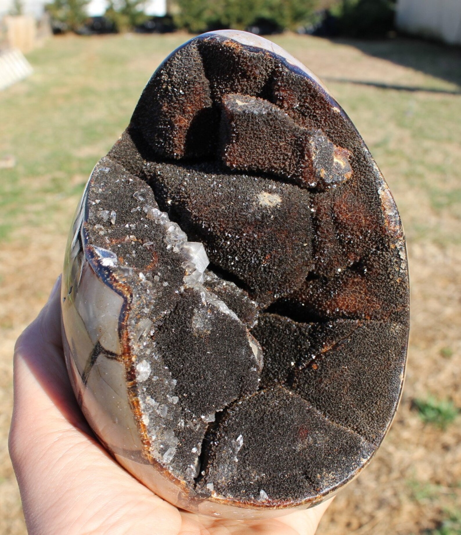 HUGE Septarian Dragon Egg Stone Geode Crystal Etsy